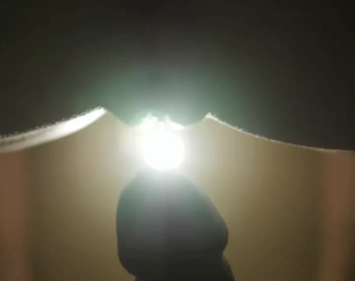 Slow Motion Close Up Hard Cock Entering Wet Pussy